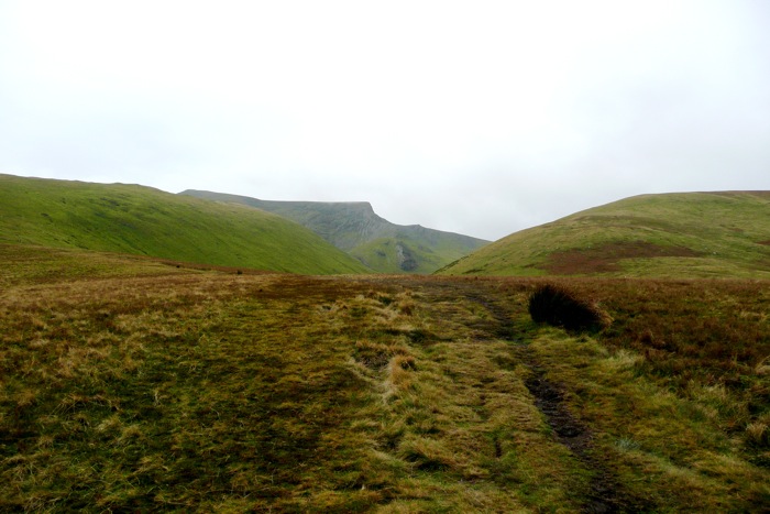 Sharp Edge 799