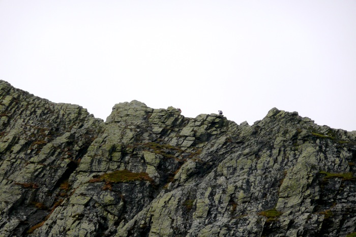 Sharp Edge 836