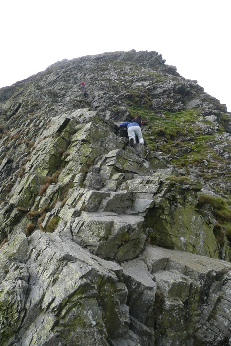 Sharp Edge 855