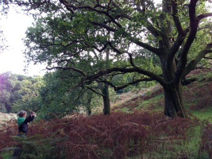 district apparently jamesbellphotography