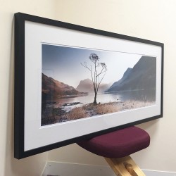 Buttermere Tree View