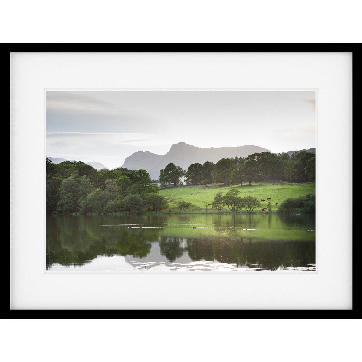 Across Loughrigg Tarn Framed Print