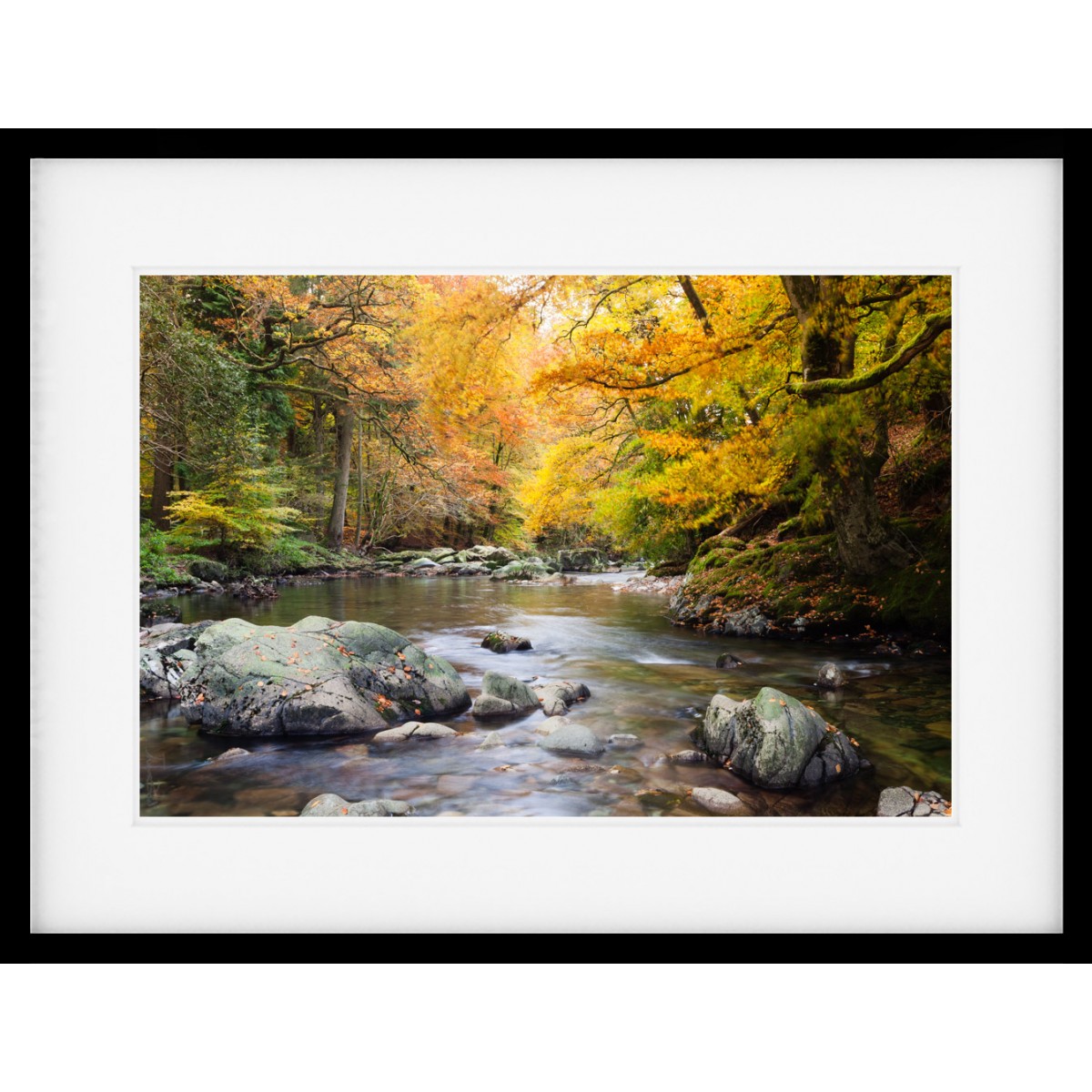 Autumn on the River Framed Print