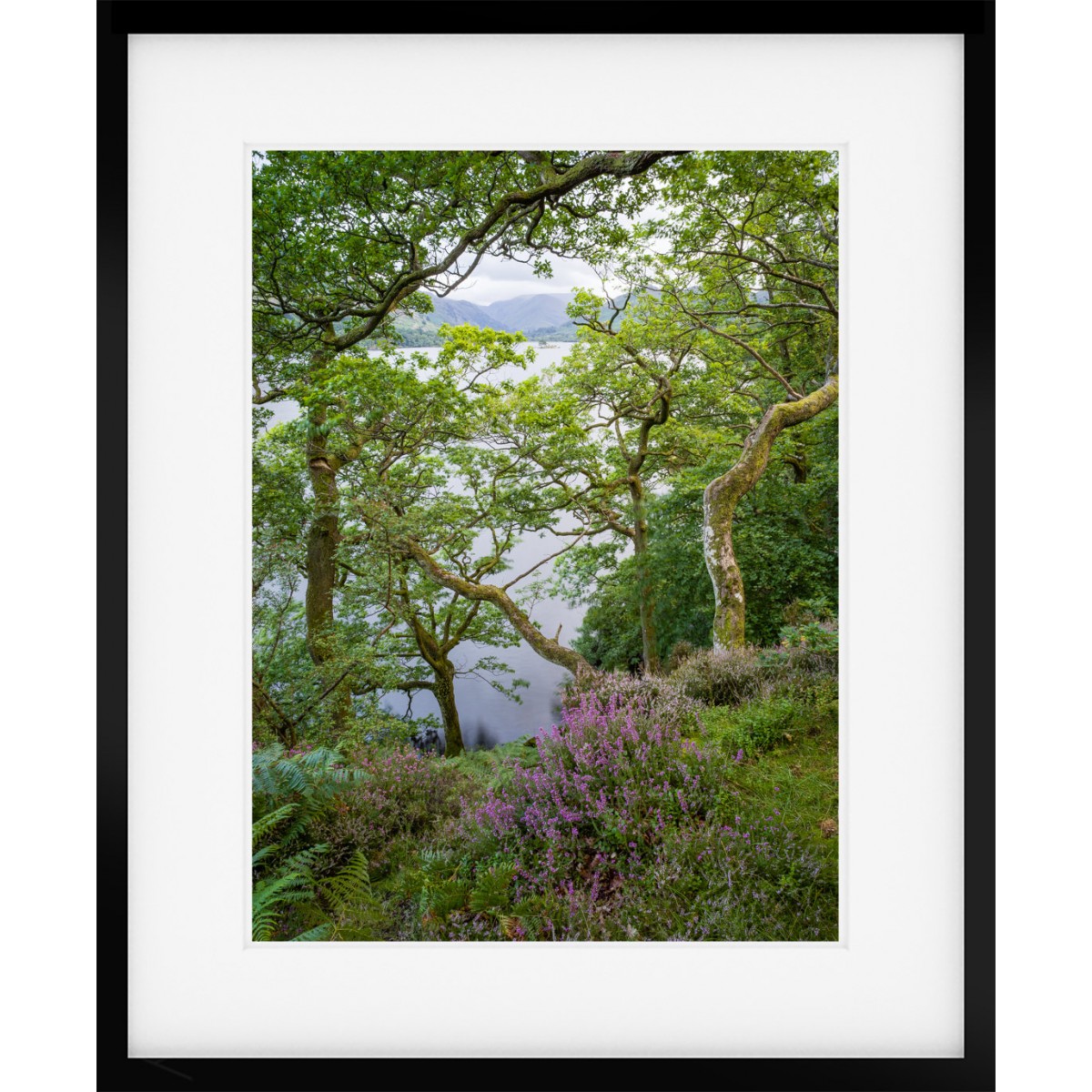 Ullswater Island Framed Print