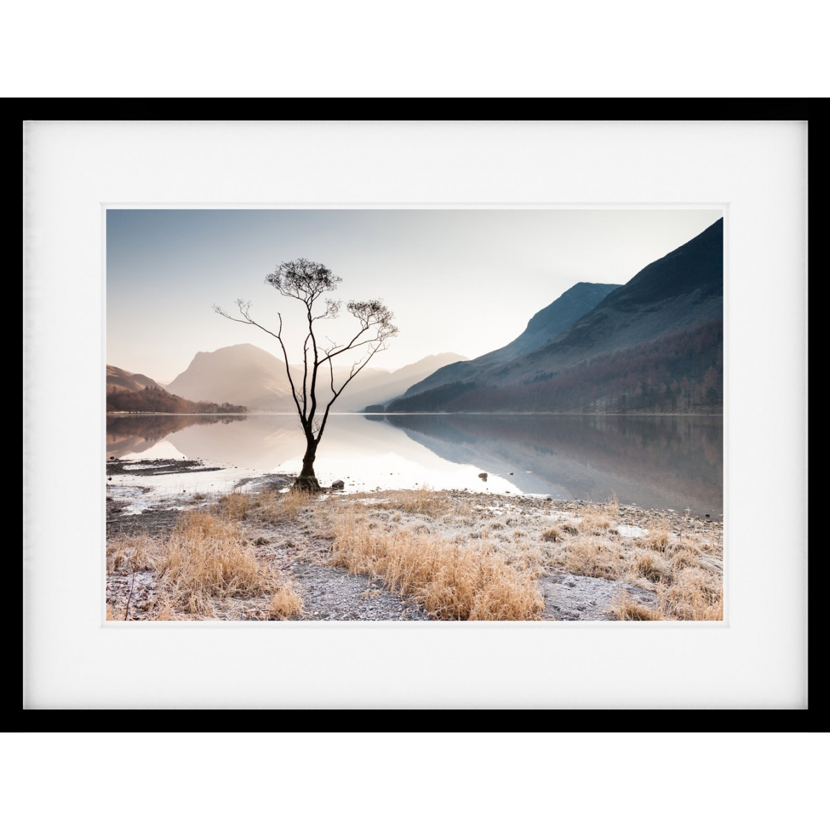 Buttermere Tree Framed Print