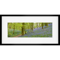 Lake District Bluebell Vista Framed Print