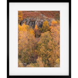 Gowbarrow Park Autumn framed print