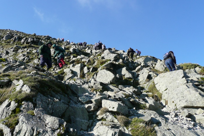 P1000682
