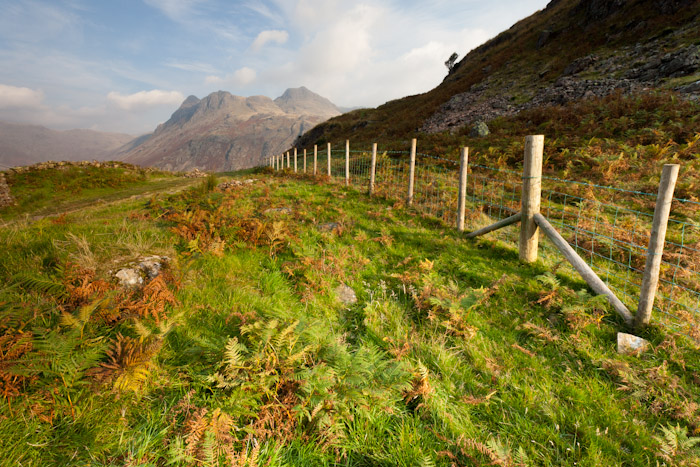 Best view of the Langdale Pikes in Autumn