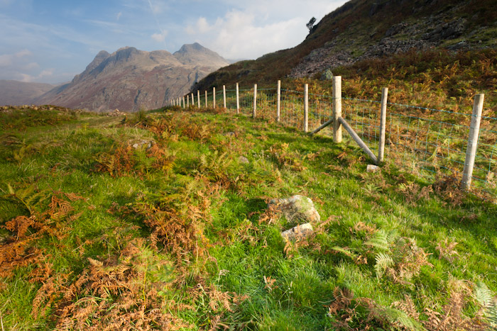 Autumn Langdale photos