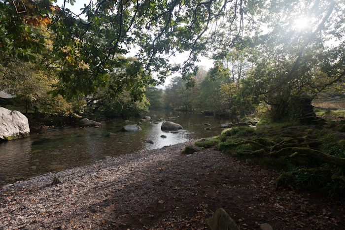 Trees over Great langdale beck in the lake district