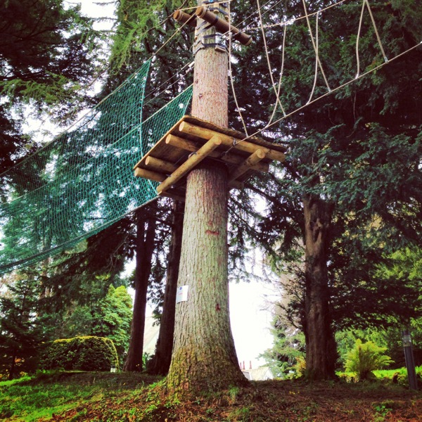 Tree Top Treks - Brockhole