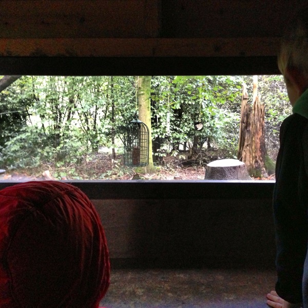 The Bird viewing hut at Brockhole
