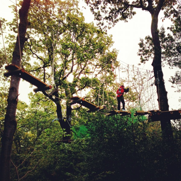 Tree Top Treks at Brockhole