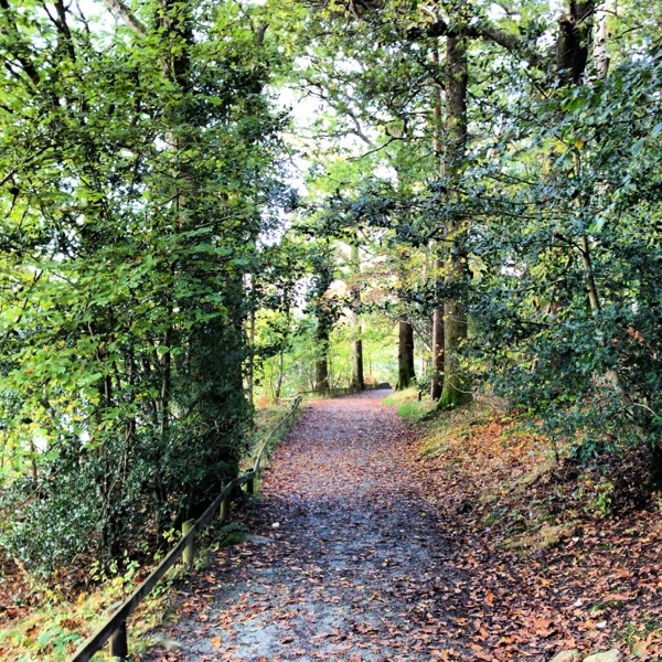 Lakeside Path on Windermere