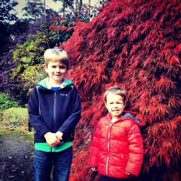 Autumn Colours in The Gardens at Brockhole