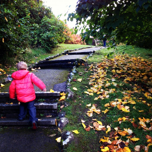 Brockhole Garden Path
