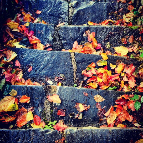 Autumn Colours in the Lake District