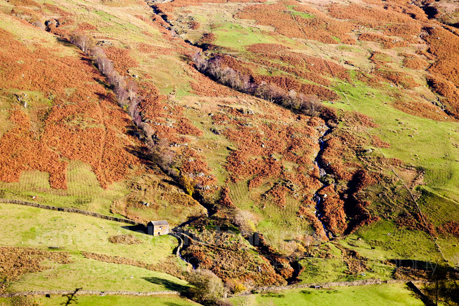 Autumn Photogtraphy in the Lake District (1)