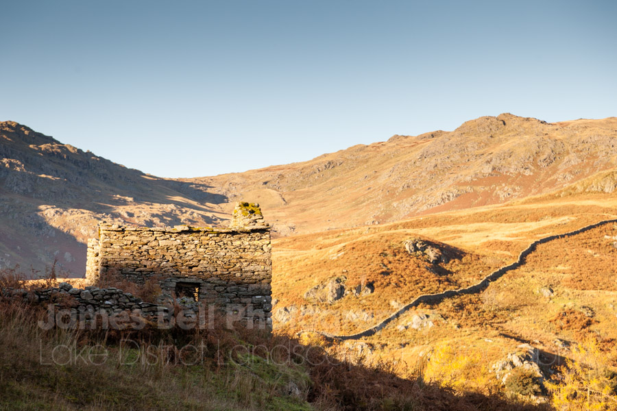 Autumn Photogtraphy in the Lake District (8)