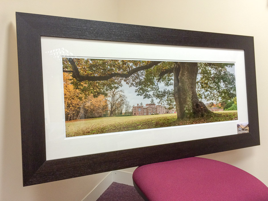 The Kings Oak Panorama