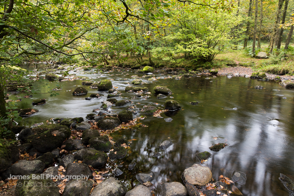Penny Rock Woods Stream
