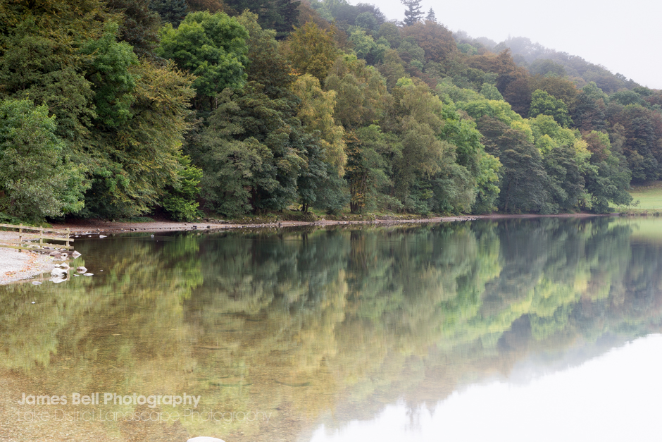 Reflected trees over Grasmere