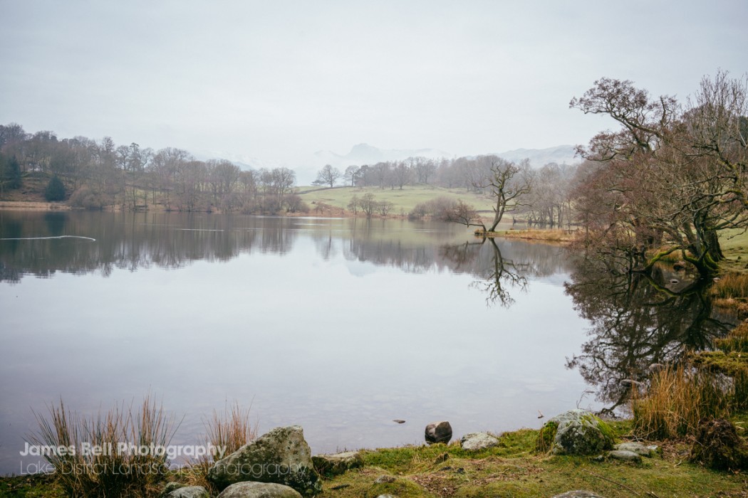 Loughrigg Tarn to Grasmere Lake District Walk (6)