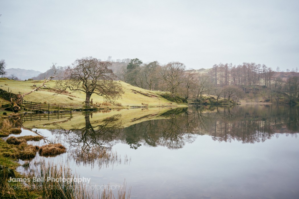 Loughrigg Tarn to Grasmere Lake District Walk (7)