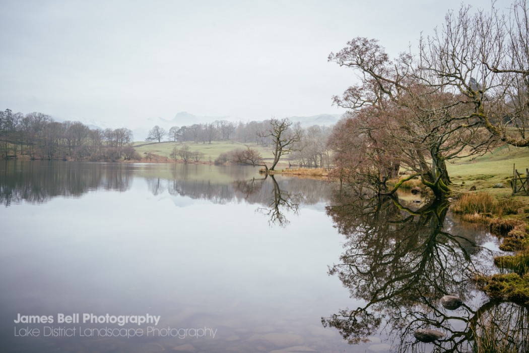 Loughrigg Tarn to Grasmere Lake District Walk (8)