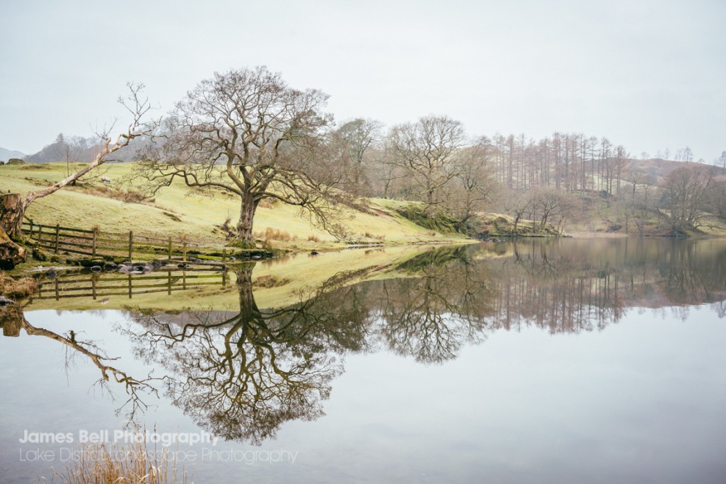Loughrigg Tarn to Grasmere Lake District Walk (9)