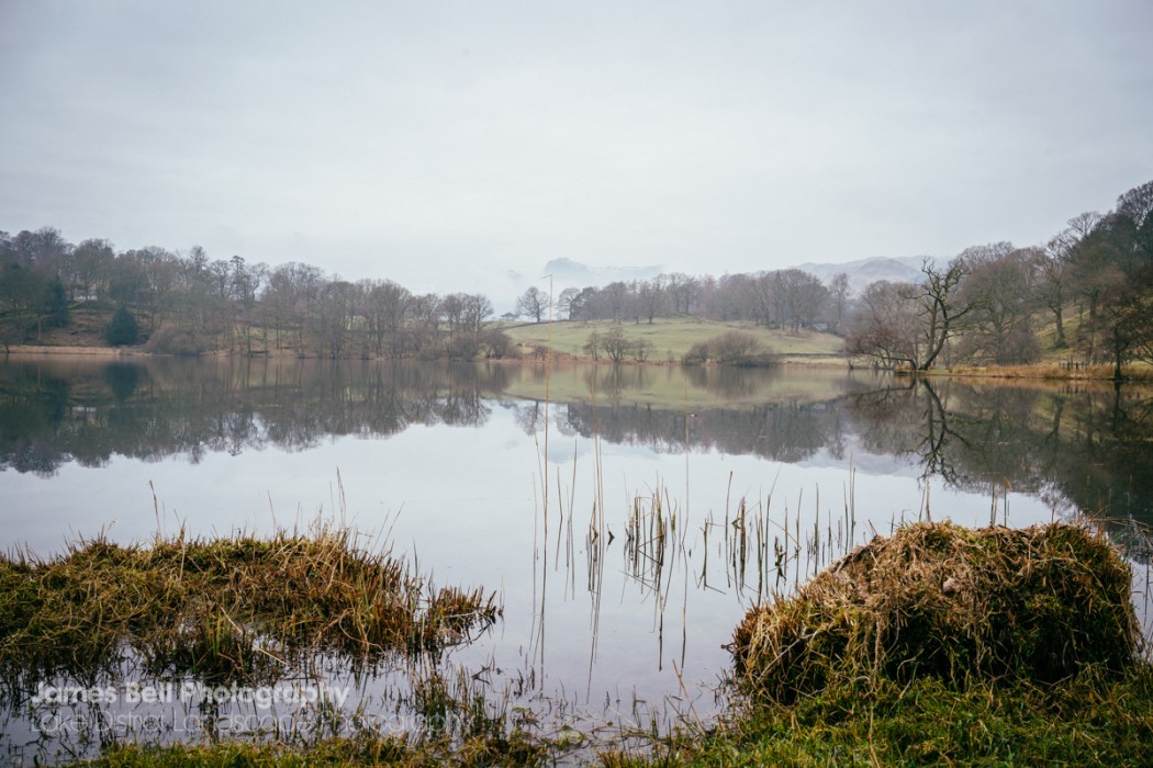 Loughrigg Tarn to Grasmere Lake District Walk (10)