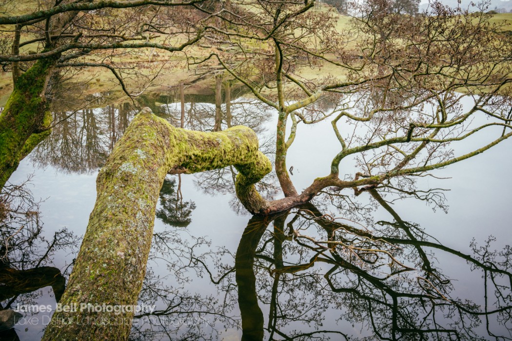 Loughrigg Tarn to Grasmere Lake District Walk (16)