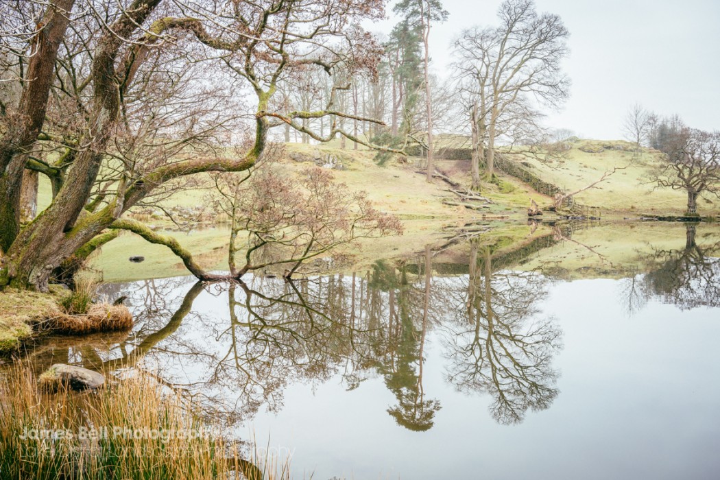 Loughrigg Tarn to Grasmere Lake District Walk (17)