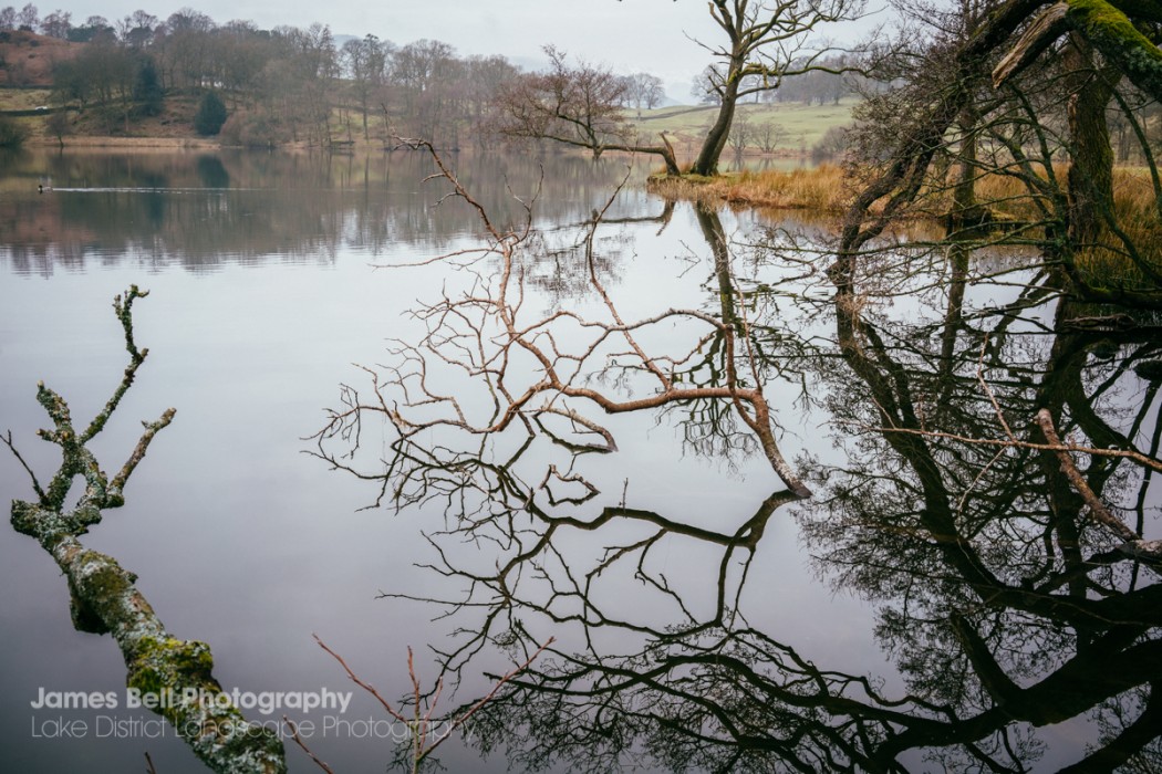 Loughrigg Tarn to Grasmere Lake District Walk (19)