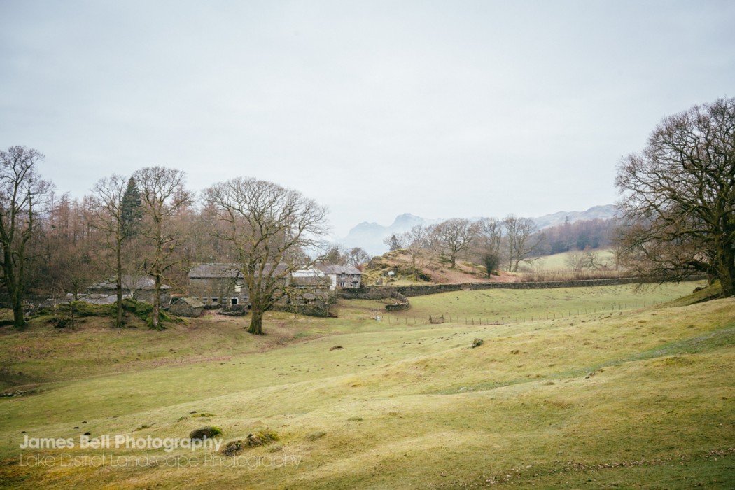 Loughrigg Tarn to Grasmere Lake District Walk (27)
