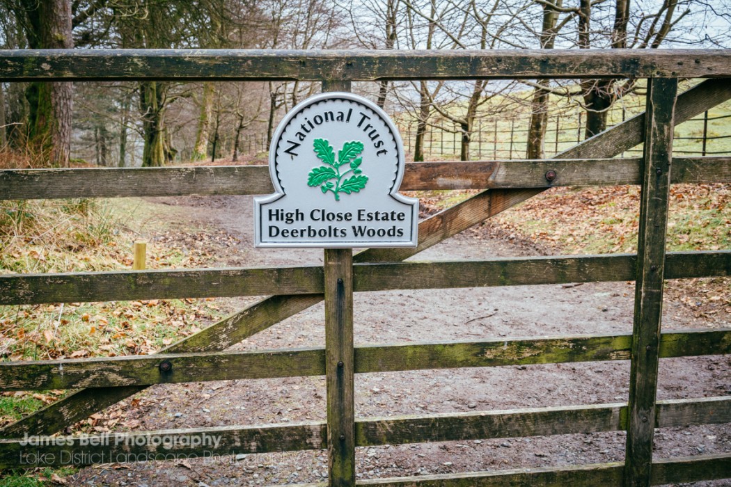 Loughrigg Tarn to Grasmere Lake District Walk (29)