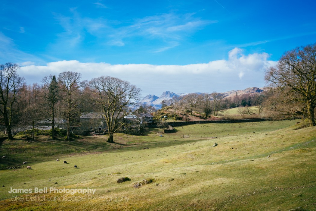 Loughrigg Tarn to Grasmere Lake District Walk (39)