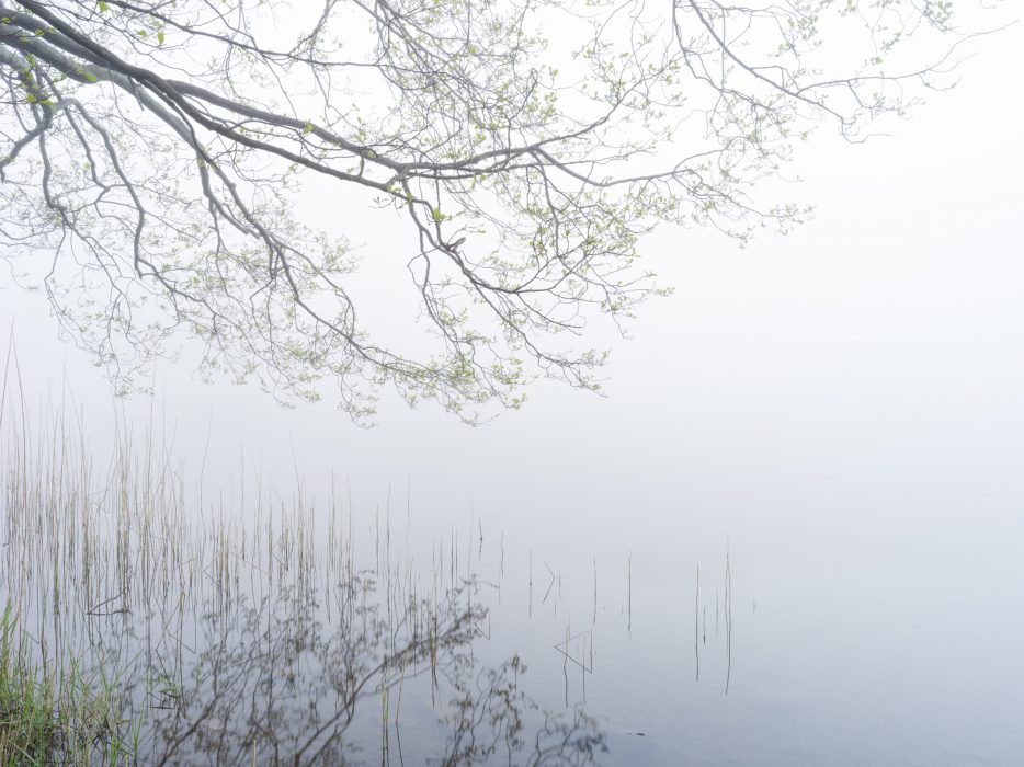 A misty morning over Grasmere in the Lake District
