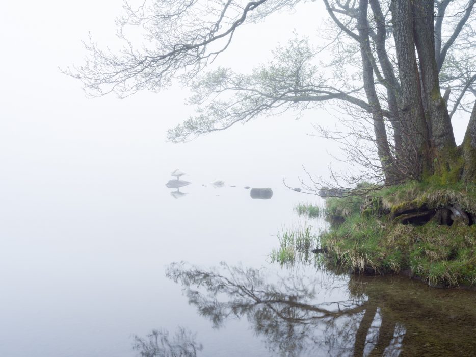 Mist on Grasmere prints by James Bell