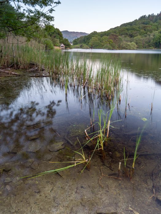 Landscape Photography Print of Rydal Water in the Lake District