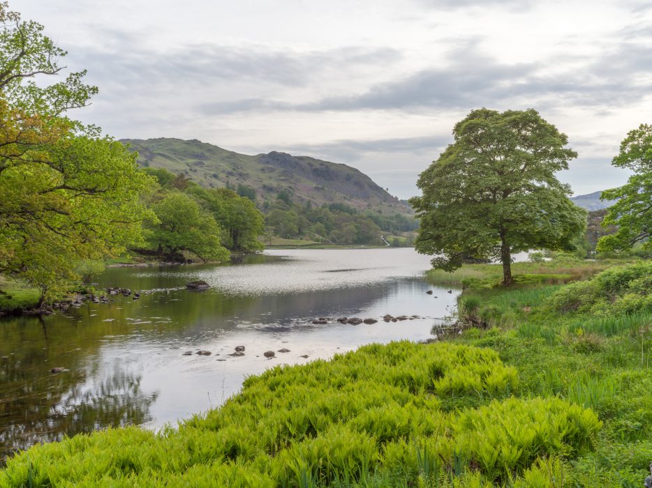 Rydal water print in the Lake District for sale