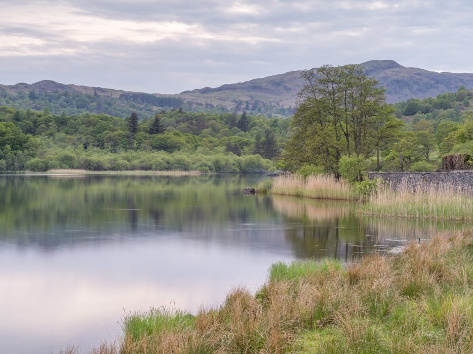 Rydal water print in the Lake District for sale
