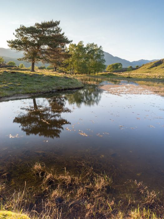 Landscape Photography Print of Kelly Hall Tarn in the Lake District