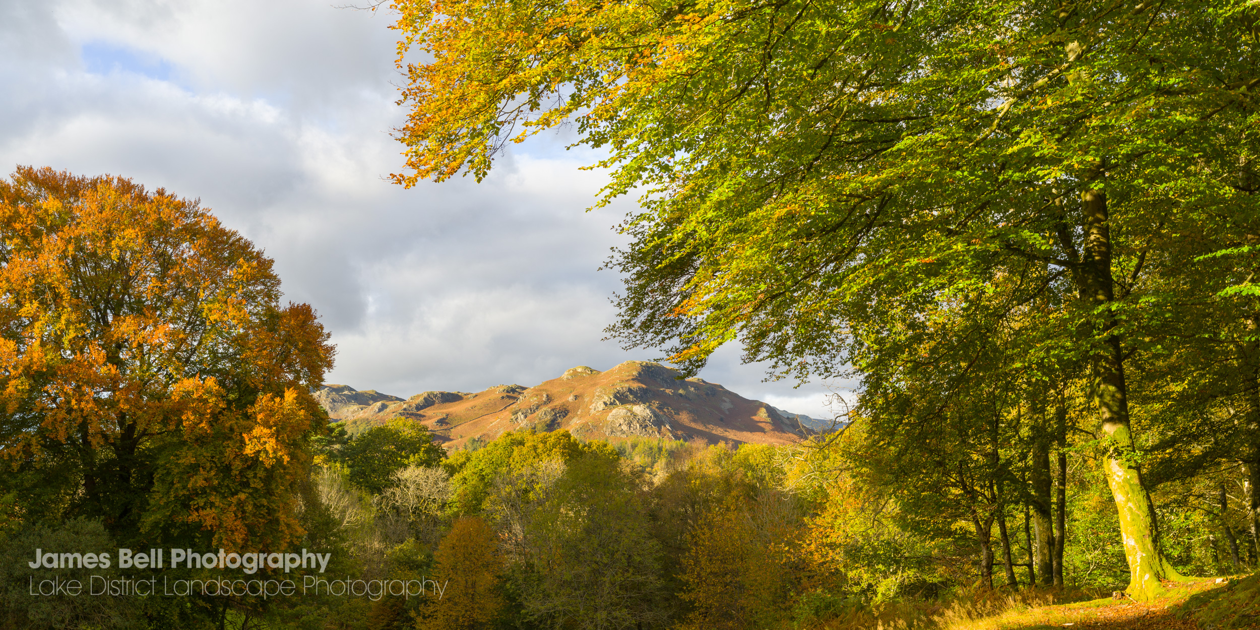 Autumn at Skelwith Fold in the Lake District